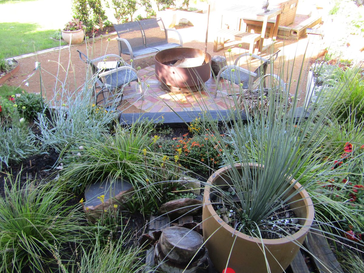 Native grasses and planters beside a timber deck